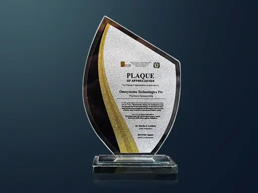 OneSystems Technologies Plaque of Appreciation presented by SEIPI in 2023
